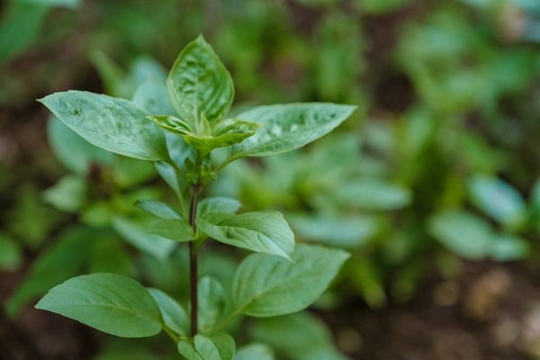 How to Implement Eco-Friendly Practices in Sports Event Planning and Execution?